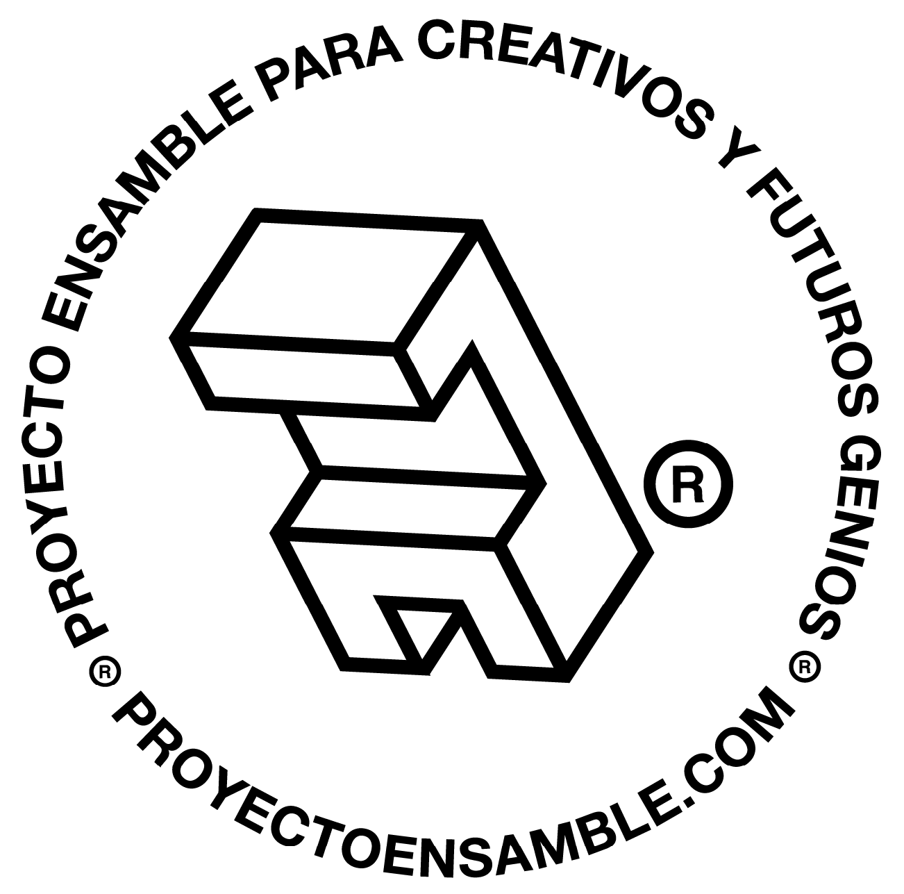Logo Proyecto Ensamble Para Creativos y Futuros Genios Proyecto  Ensamble 2
